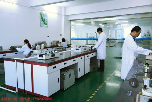 東莞工地設備計量校準下廠服務、外校與信息咨詢綜合解析